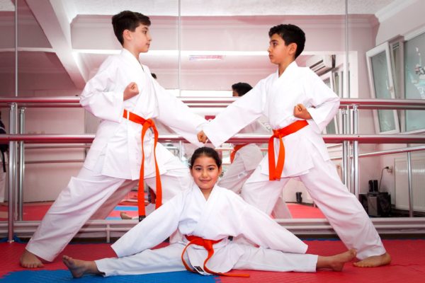 Karate kursu, izmir karate kursu