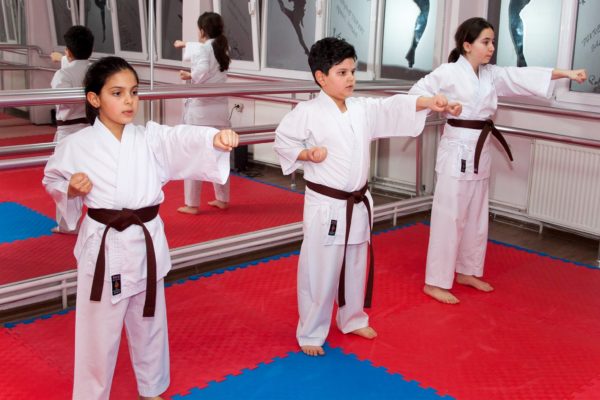 Karate kursu, izmir karate kursu